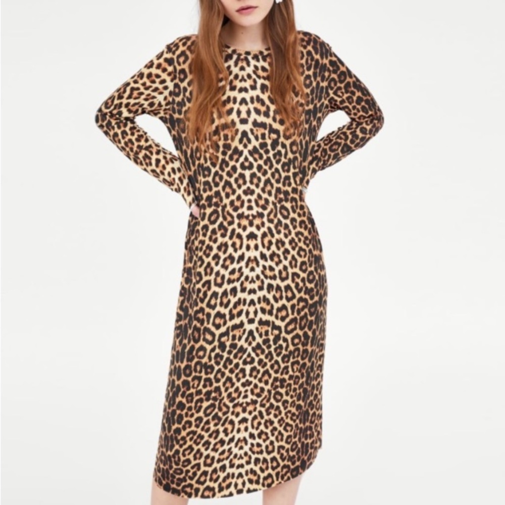 Zara dress with animal print